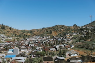 aerial photography of city