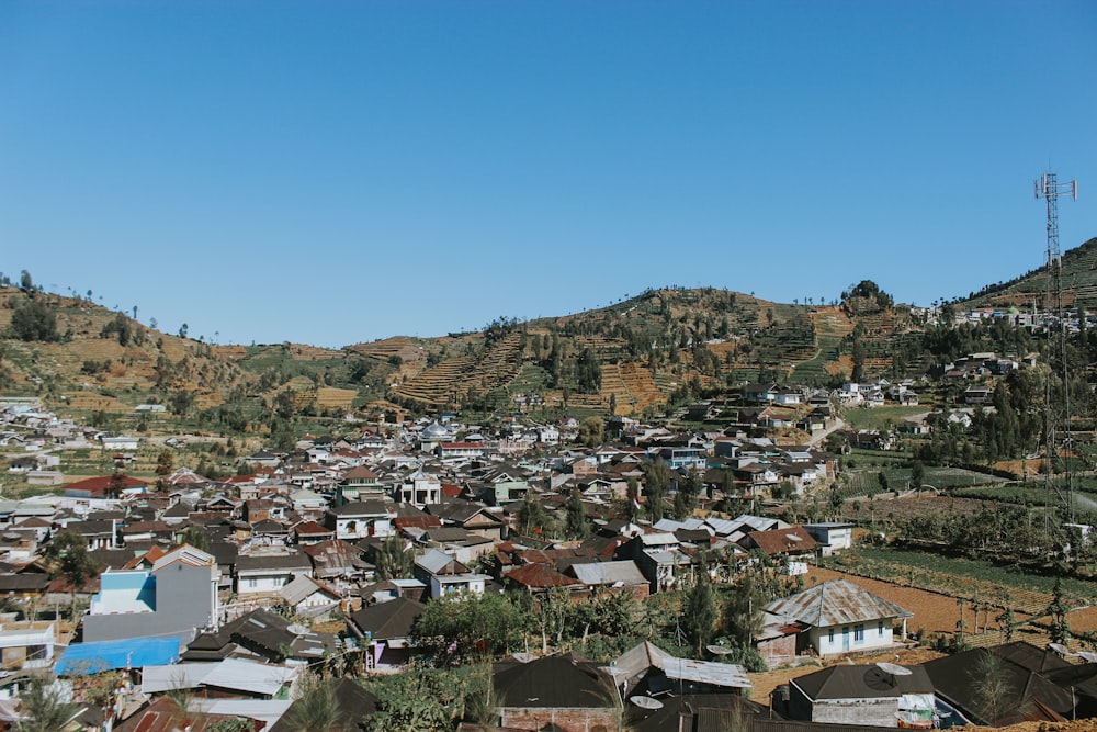 aerial photography of city