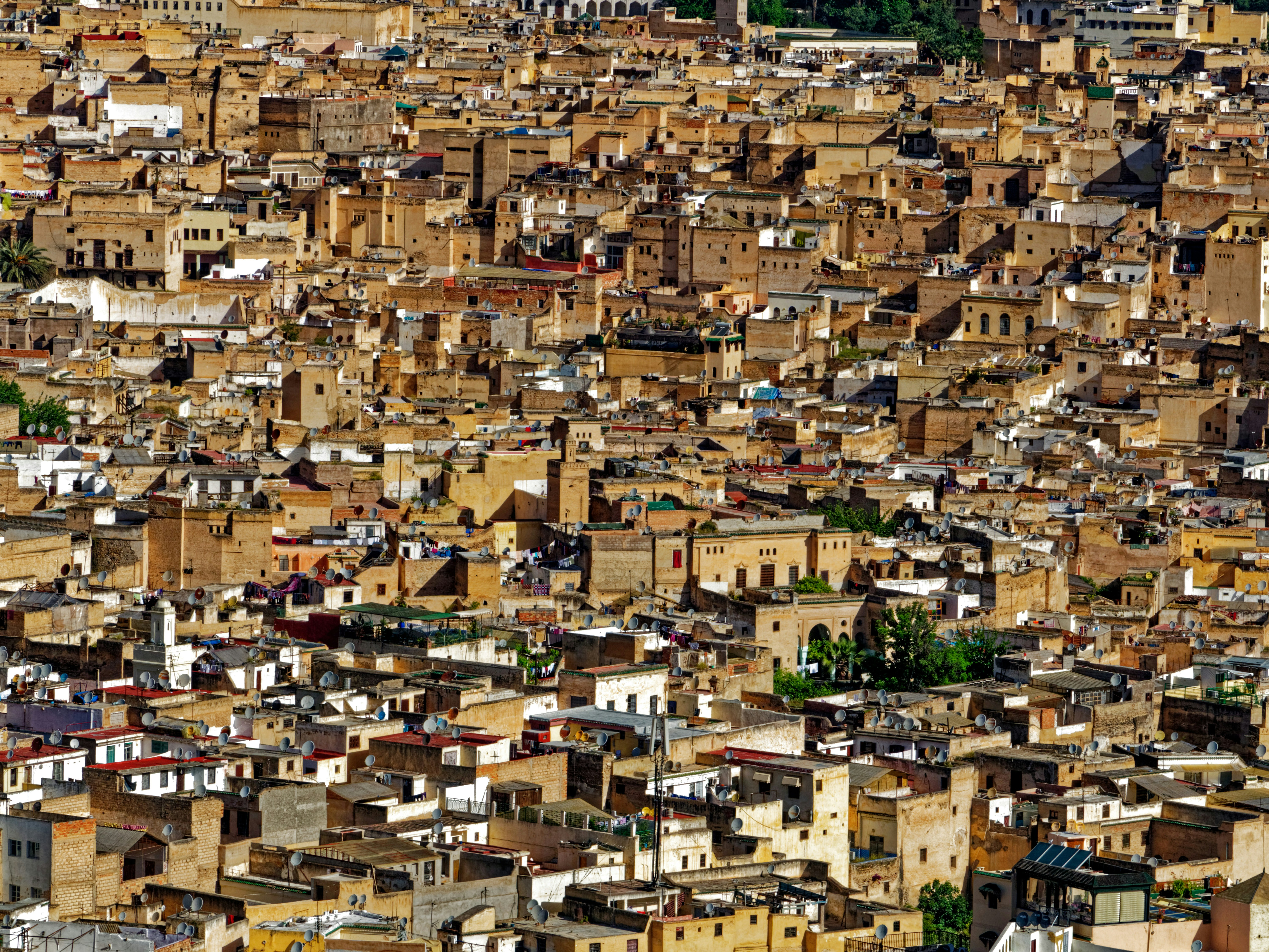 Fez city of Morocco in the afternoon sunlight
