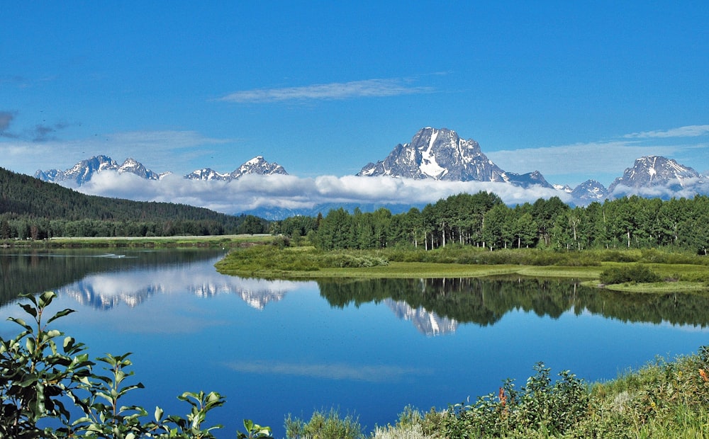 body of water near trees and mountain during daytime