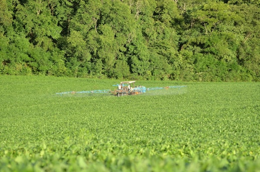 A tractor is working in a vast green field near a dense forest. It appears to be spraying crops. The field is lush with green plants, and the background is dominated by tall trees with dense foliage.