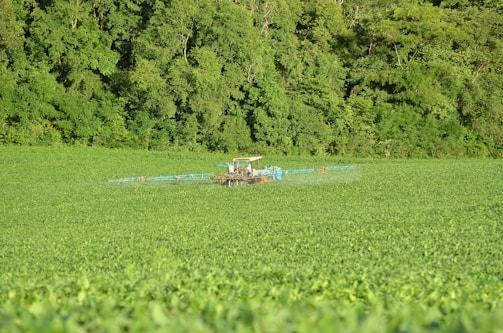 A tractor is working in a vast green field near a dense forest. It appears to be spraying crops. The field is lush with green plants, and the background is dominated by tall trees with dense foliage.