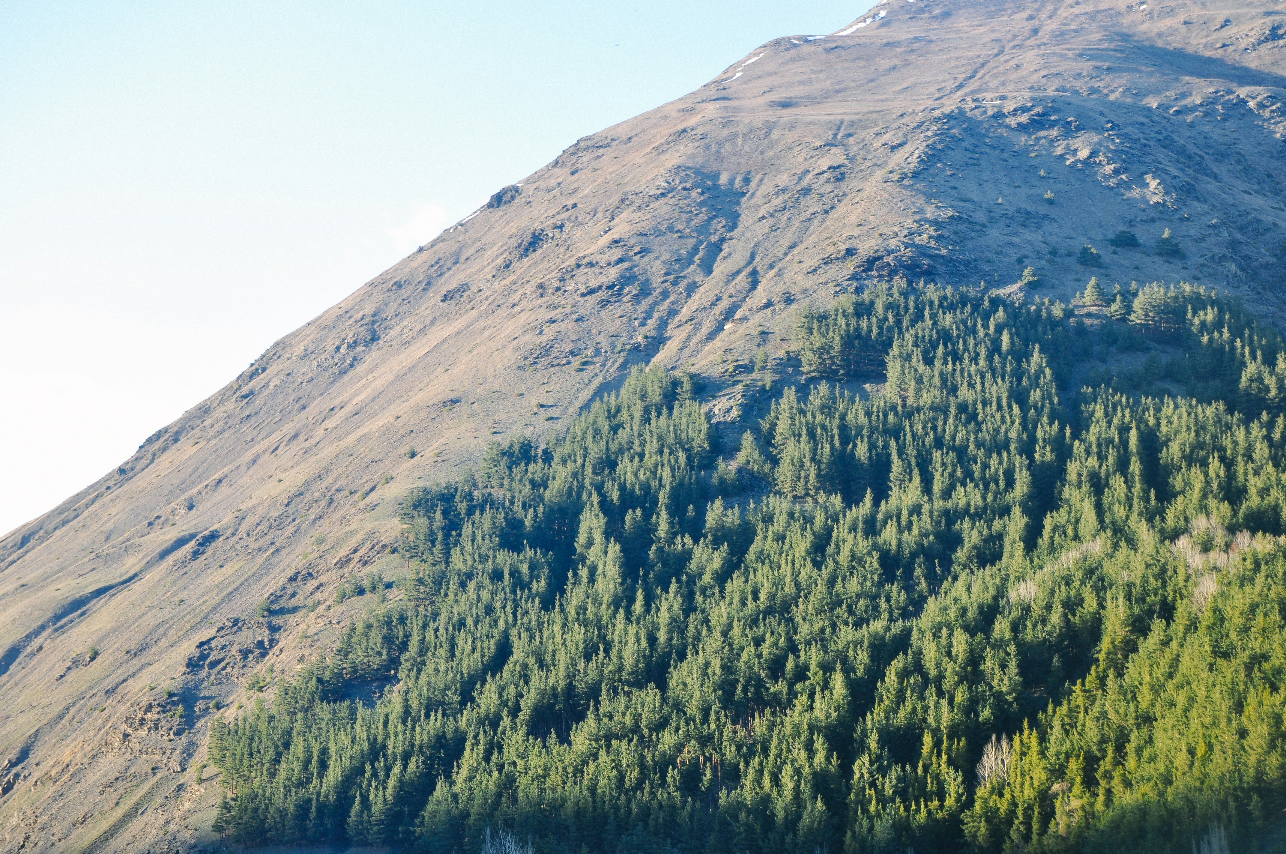 Photo by postrobotbox