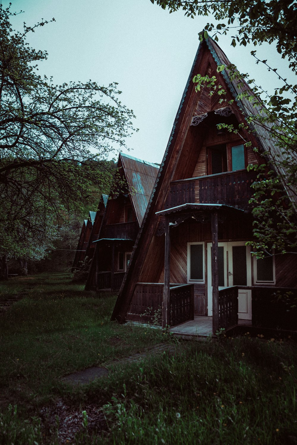 triangle houses surrounded with trees