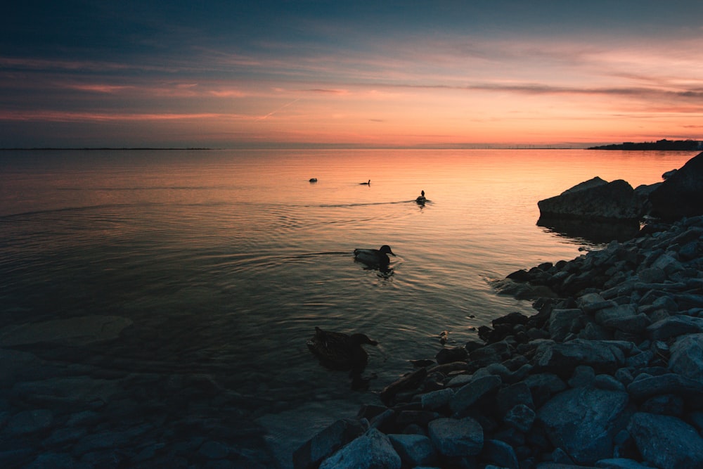 rock formations near seashore during golden hour