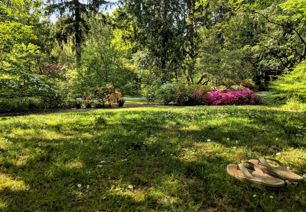 brown flip-flops on grass