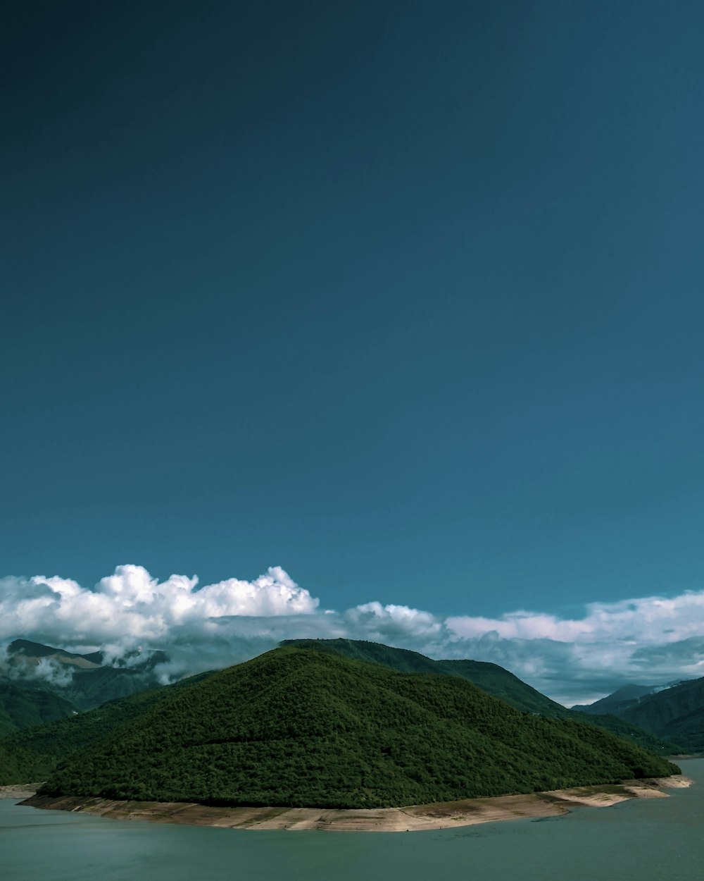 mountain covered with tree during daytime