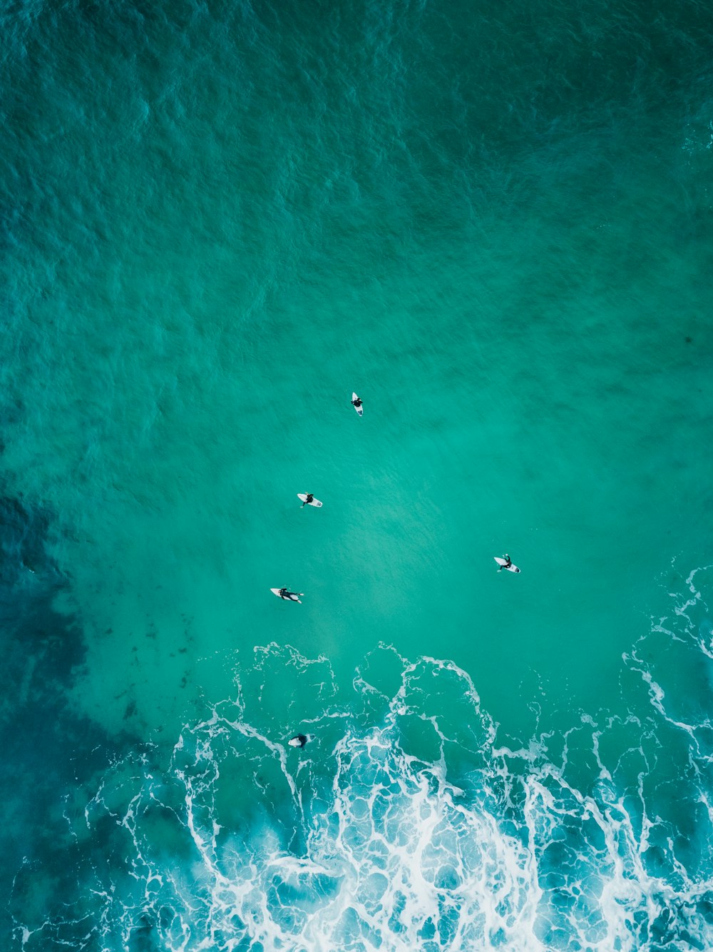 green body of water during daytime