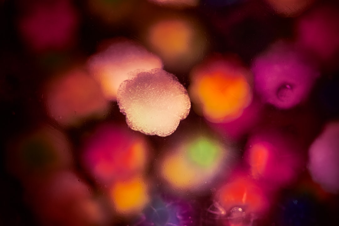 Photo de cellules-germes par Landon Arnold