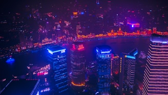 high-angle photography of city during nighttime