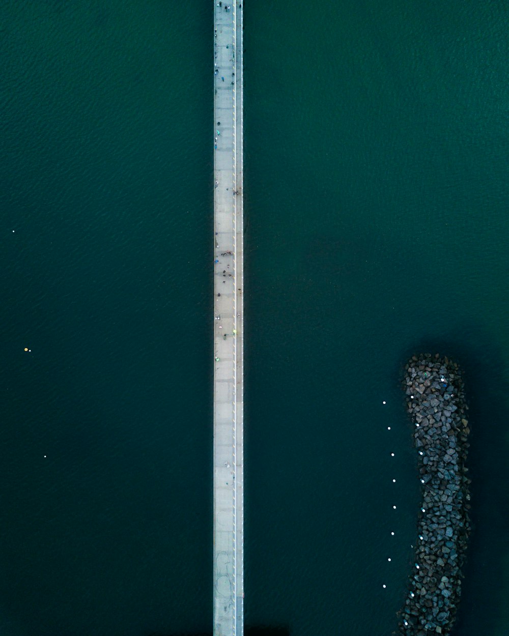 橋と水域の航空写真