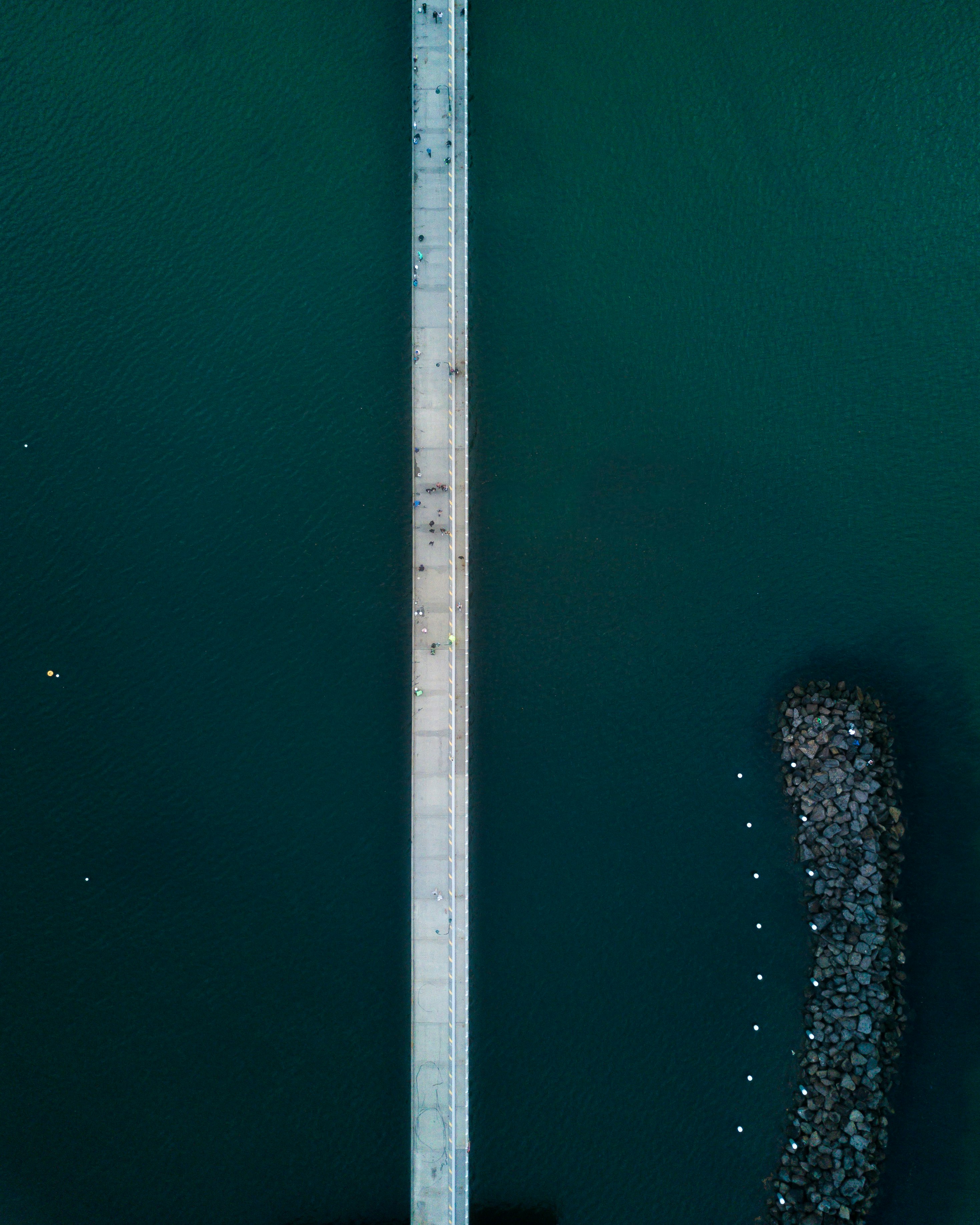 aerial photography of bridge and body of water