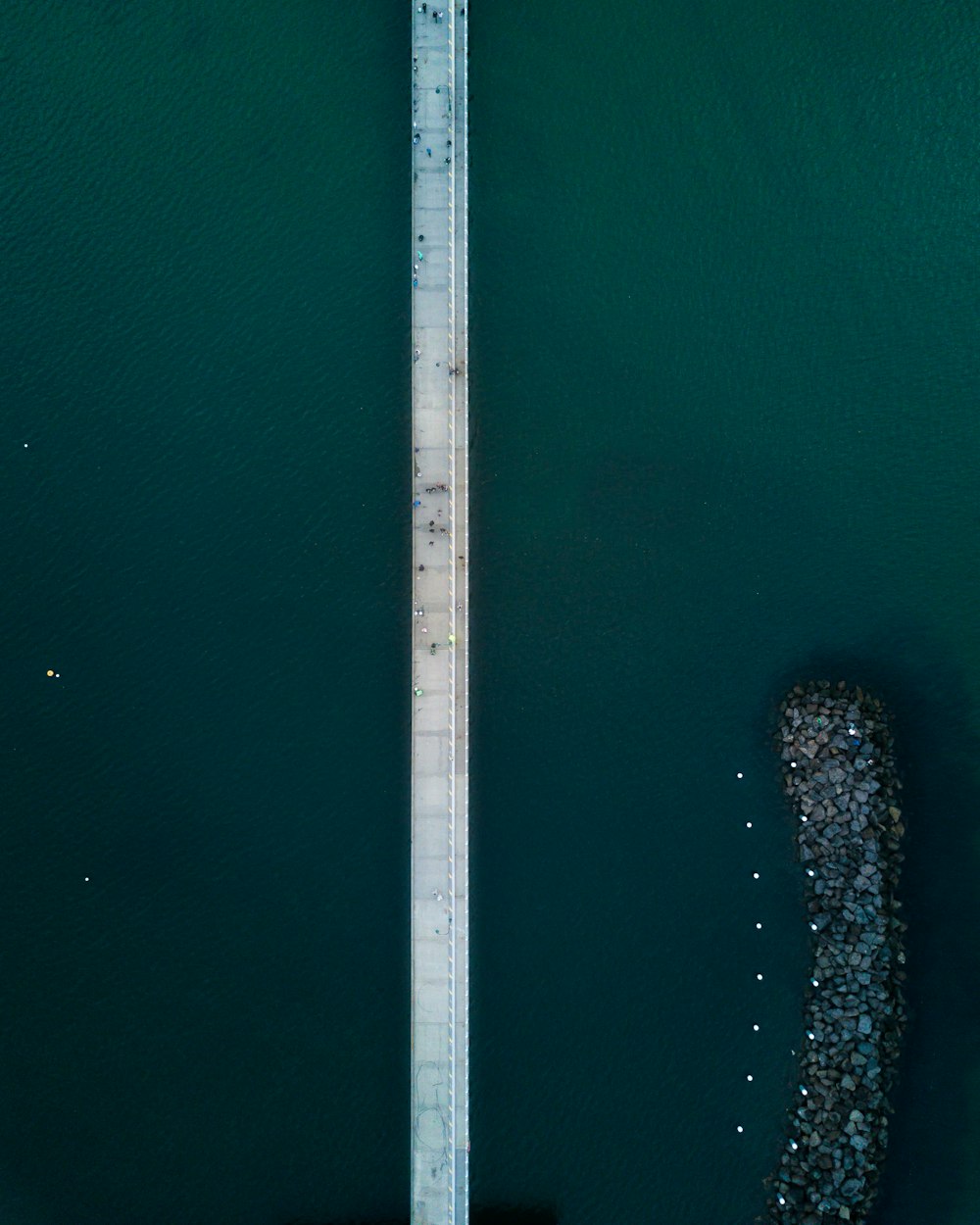 aerial photography of bridge and body of water