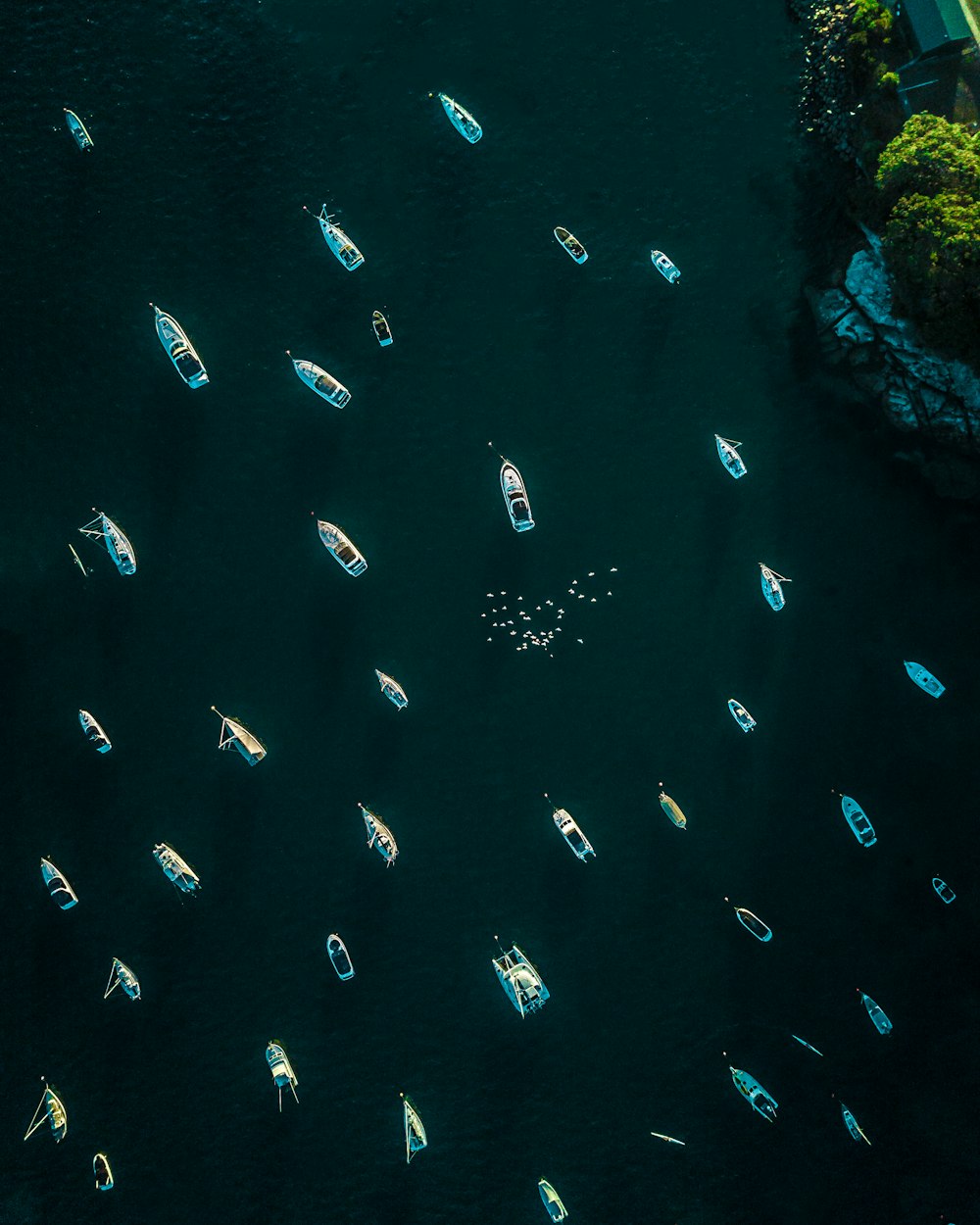 Barcos en el cuerpo de agua