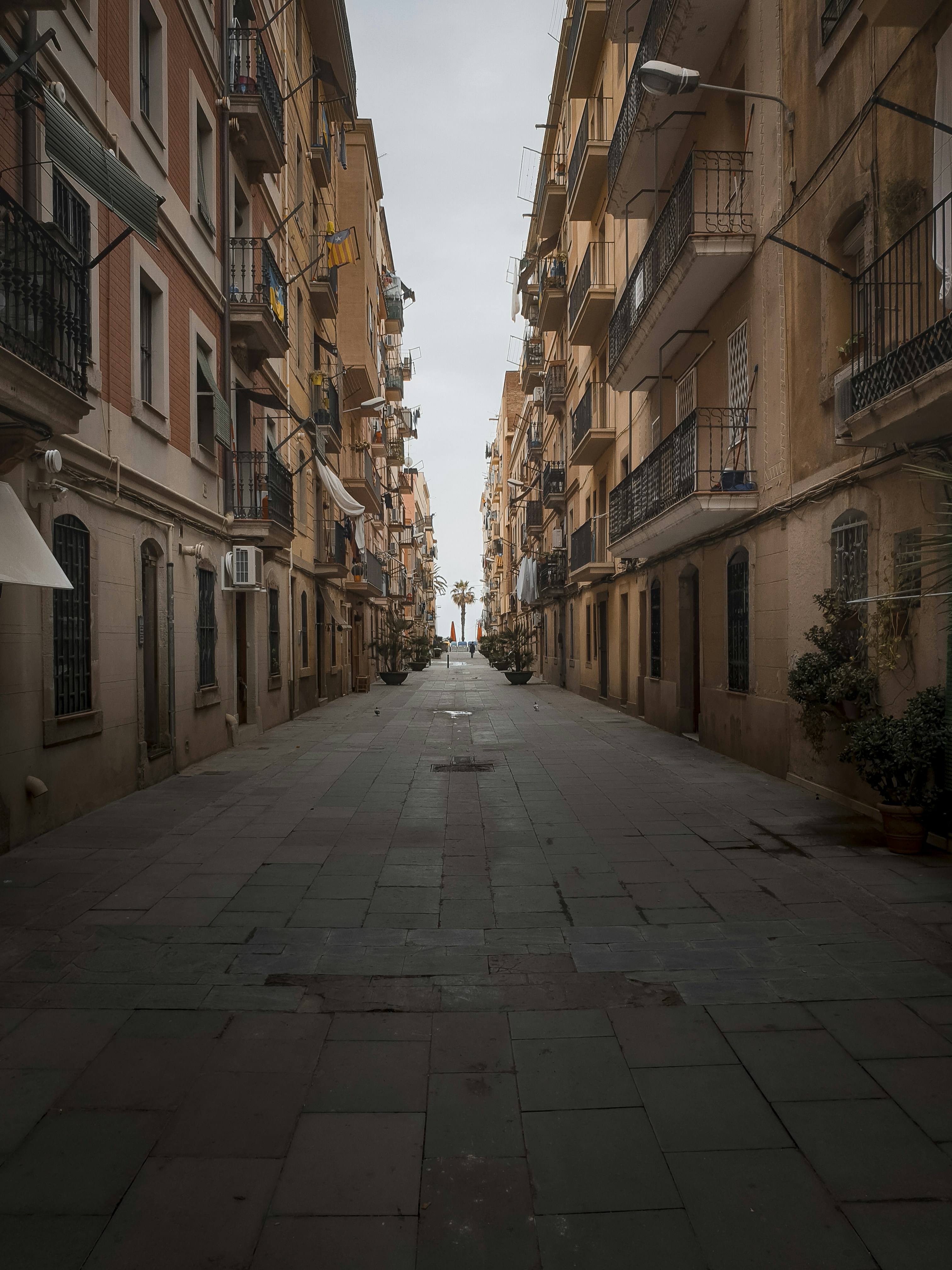 A palm tree at the end of a small alley in Barcelona.