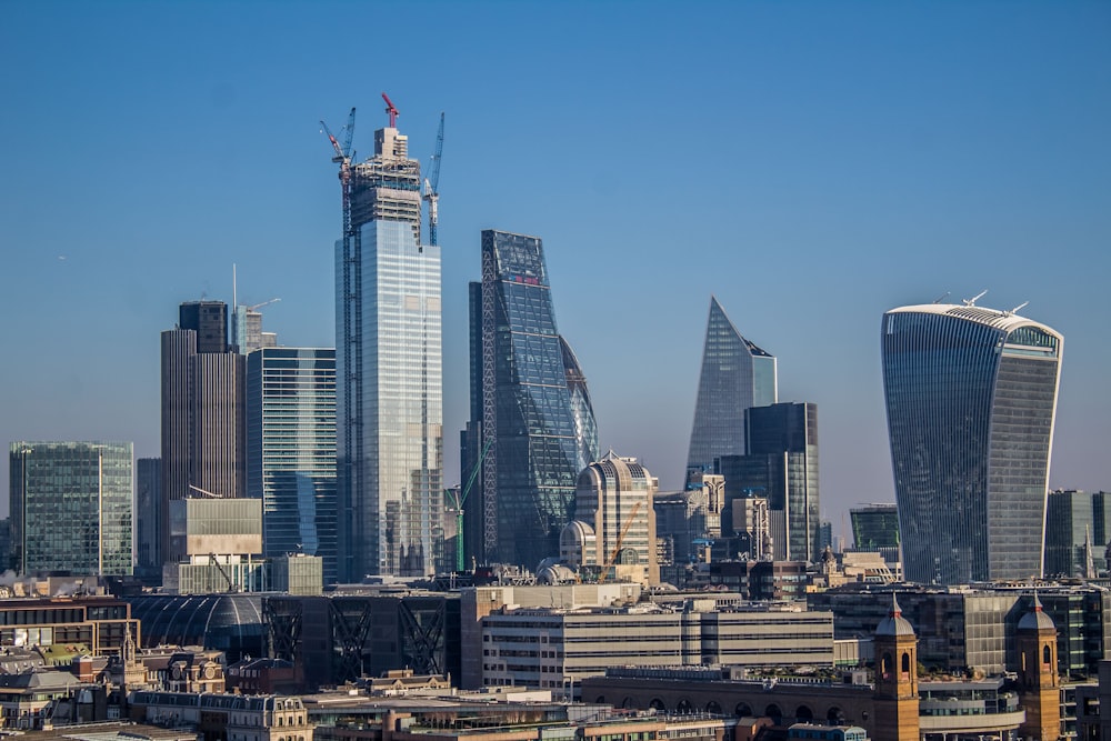 mid-rise and highrise buildings under blue sky