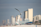 A bird is flying towards the camera, with a cityscape featuring tall buildings in the background. The focus is on the bird, giving it a sharp appearance against the blurred urban backdrop.