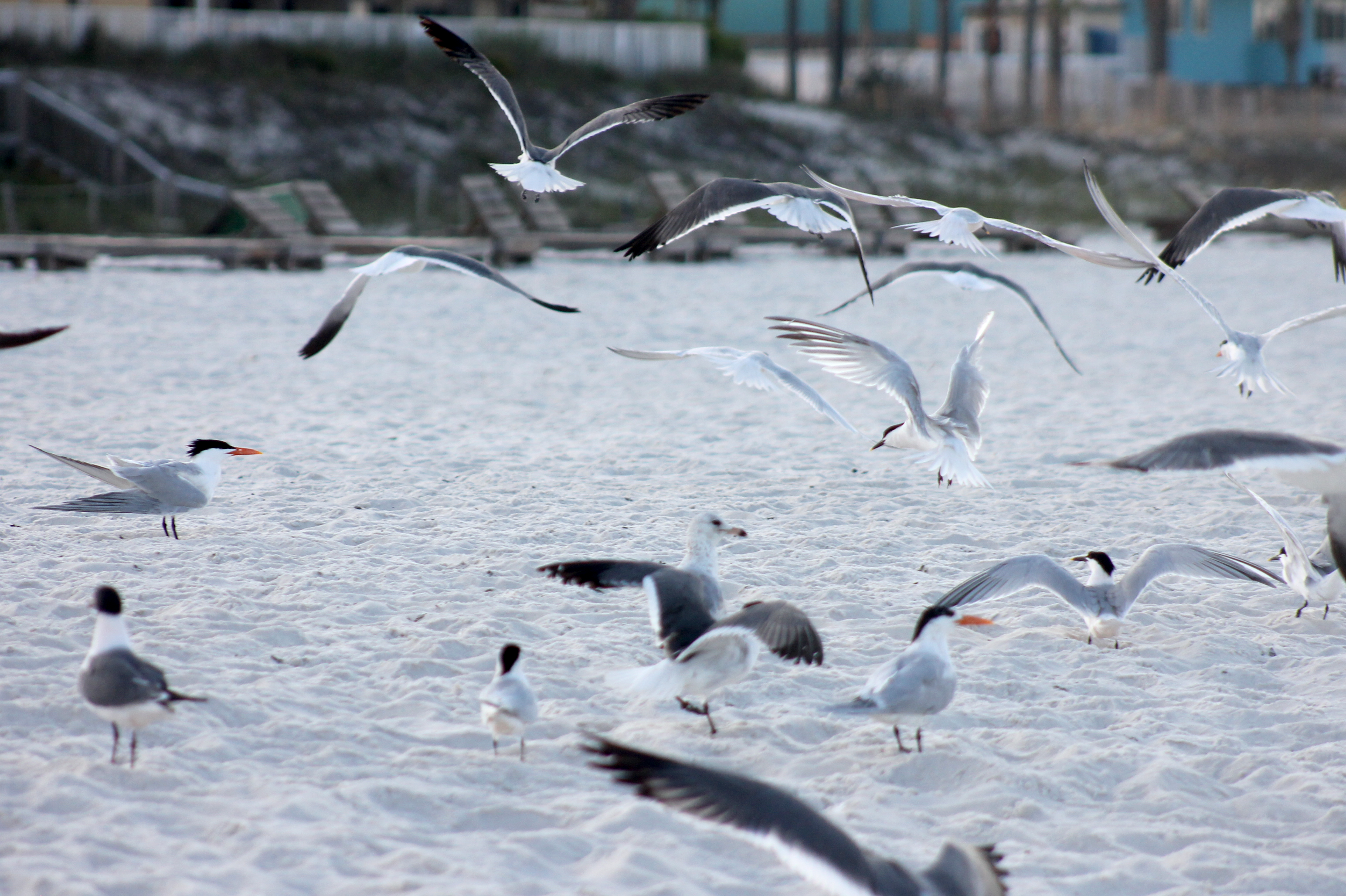 Photo by michael_meigs