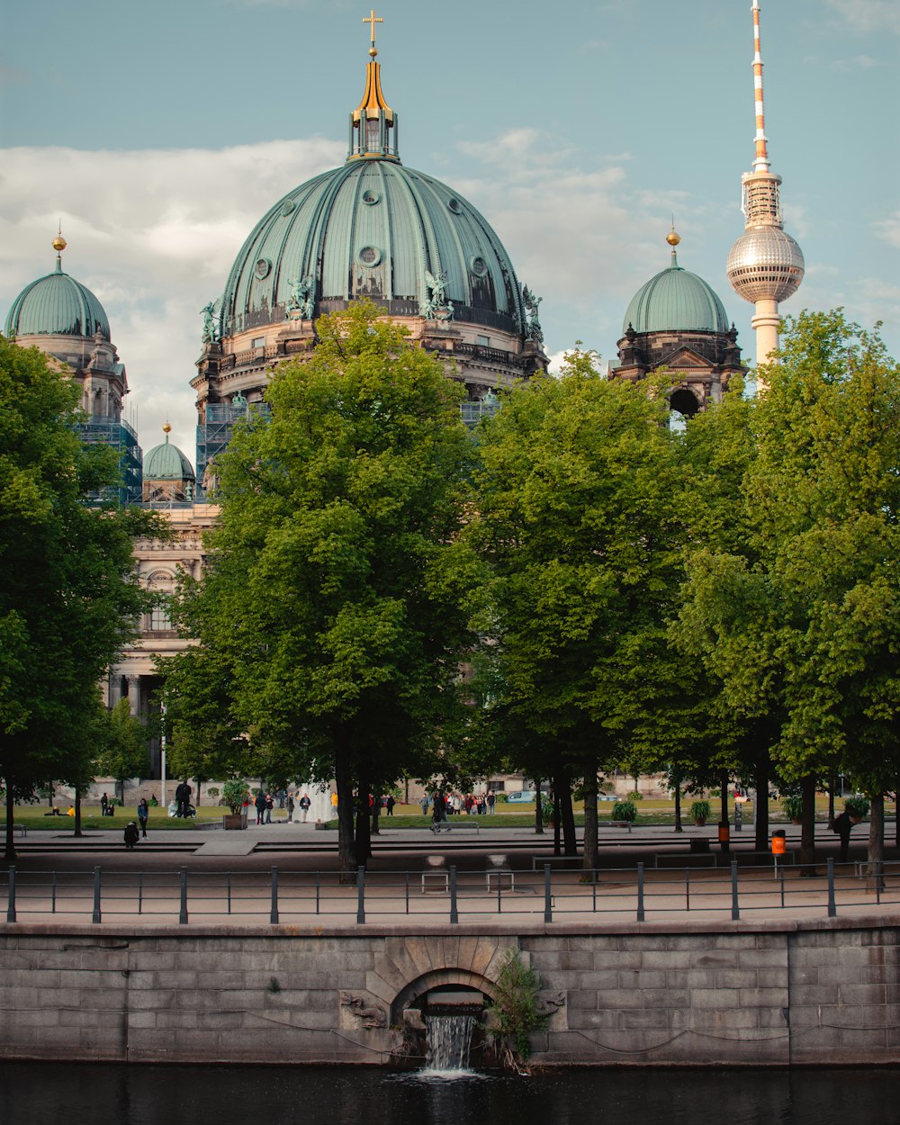 trees near dome building