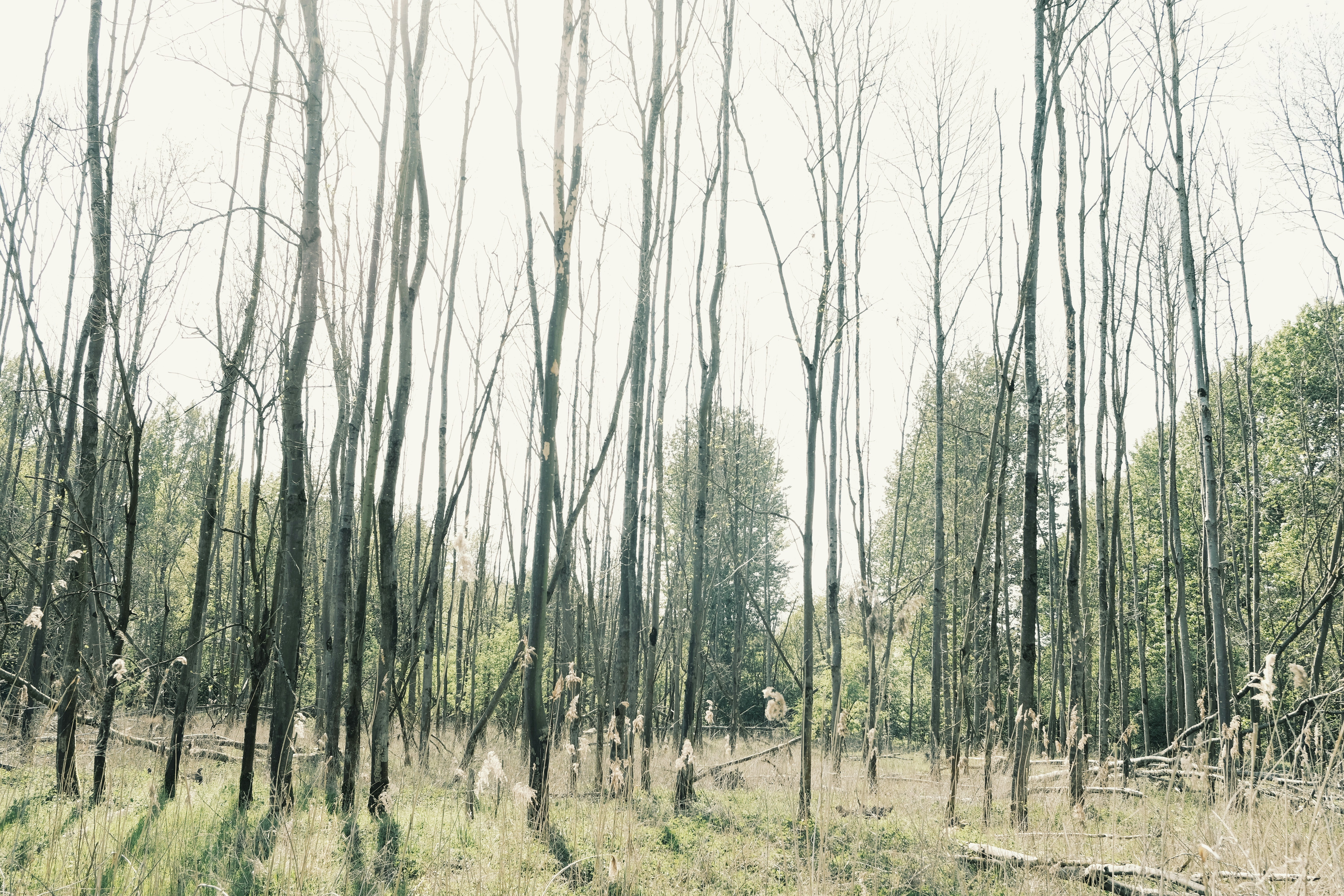 Photo by voyallaround