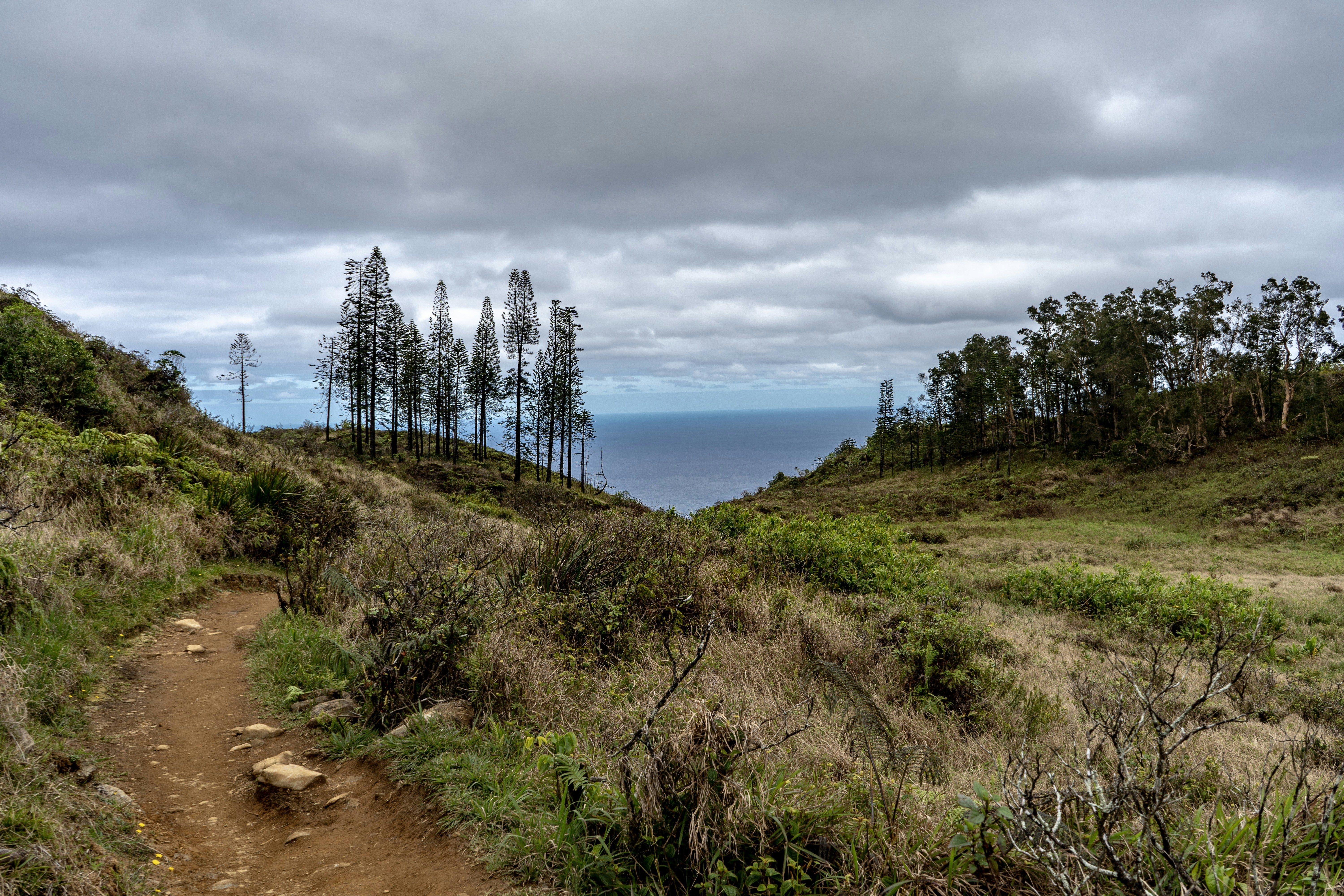 Photo by geekadventures