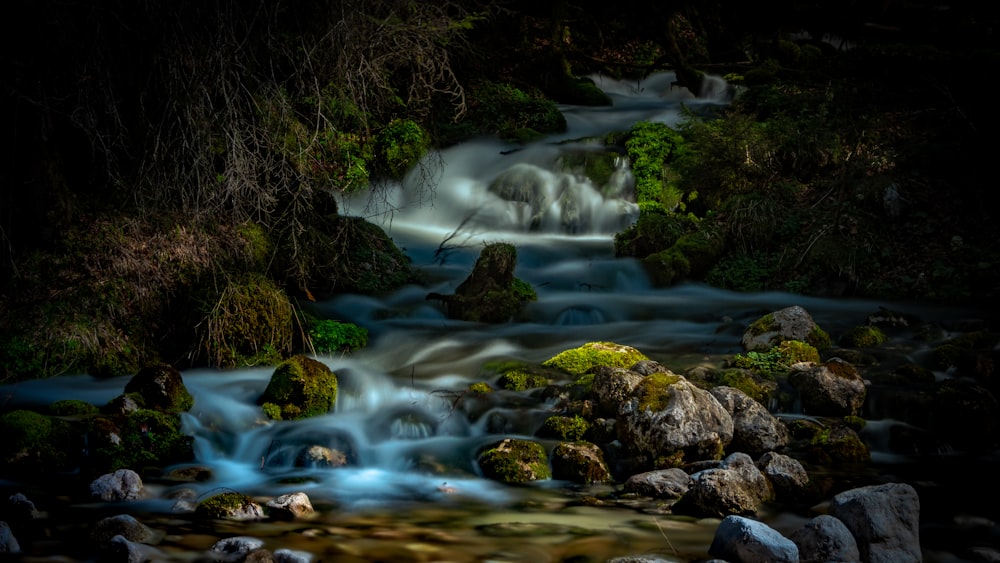 Wasserfälle zwischen Wald
