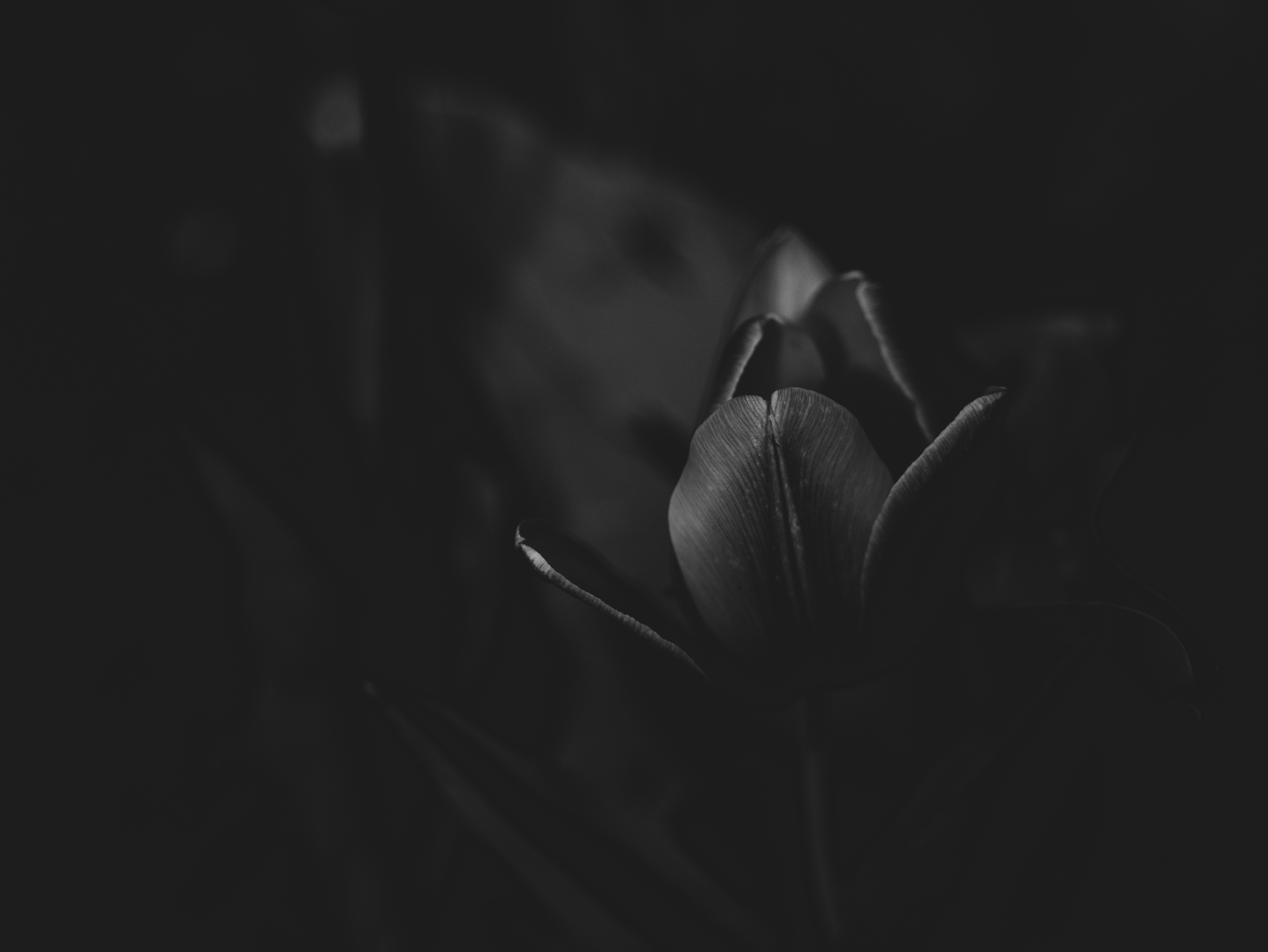 Photo by scotthewitt