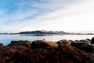 An artistic rendering of the card’s background with calm waters and distant mountains.