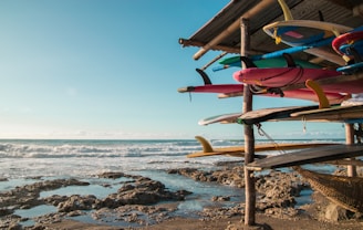 assorted-color surfboards