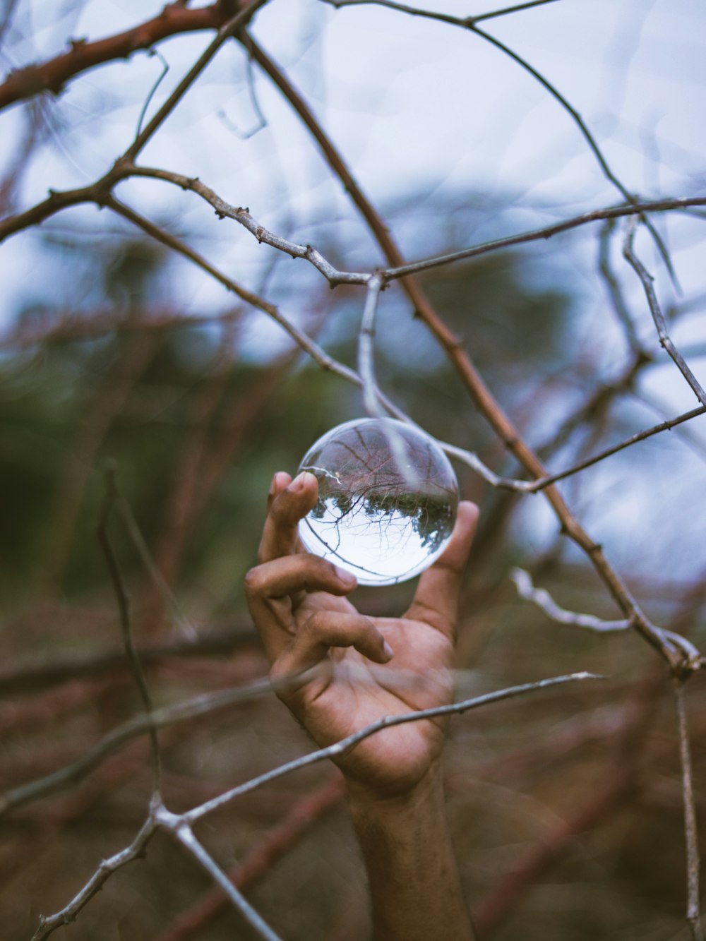 Persona sosteniendo una bola de vidrio transparente
