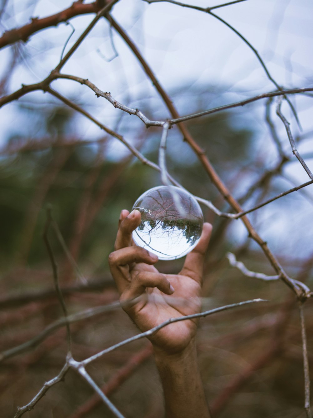 person holding clear glass ball