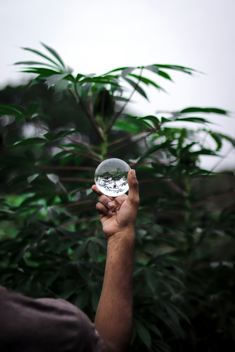 person holding clear ball