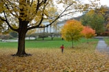 A little boy running through a park in a soft, navy blue jacket and bright red hat.