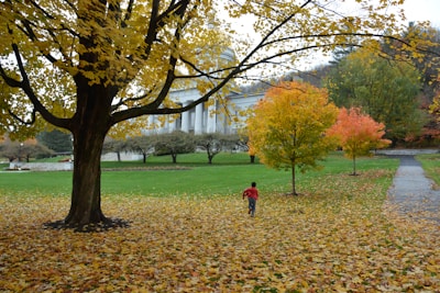 A little boy running through a park in a soft, navy blue jacket and bright red hat.
