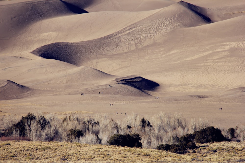 brown sand at daytime