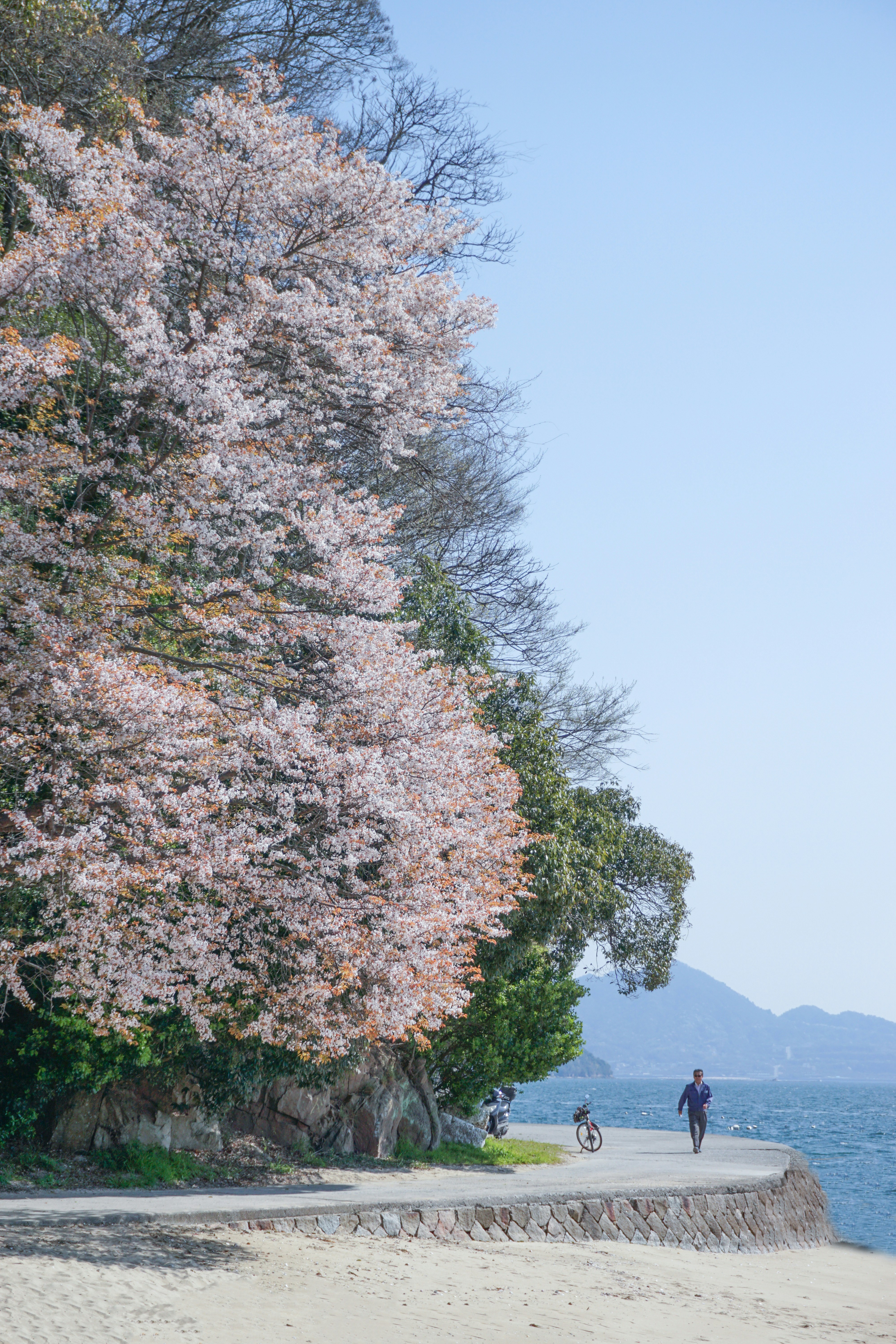 Photo by cosmonaut647