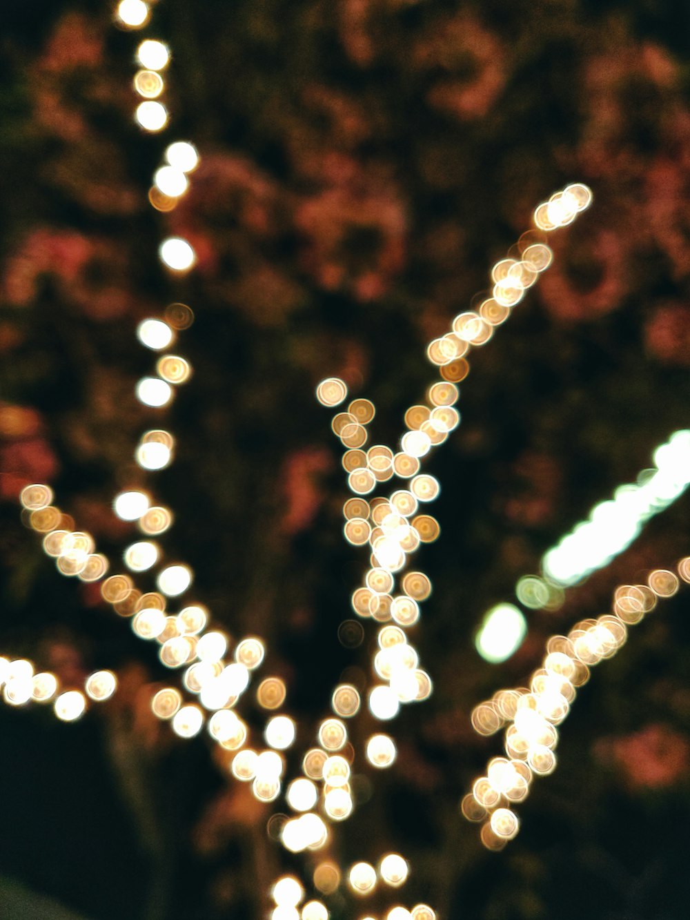 tree surrounded with string lights