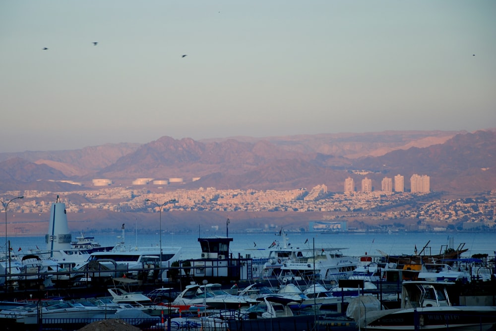 Fotografía de barcos