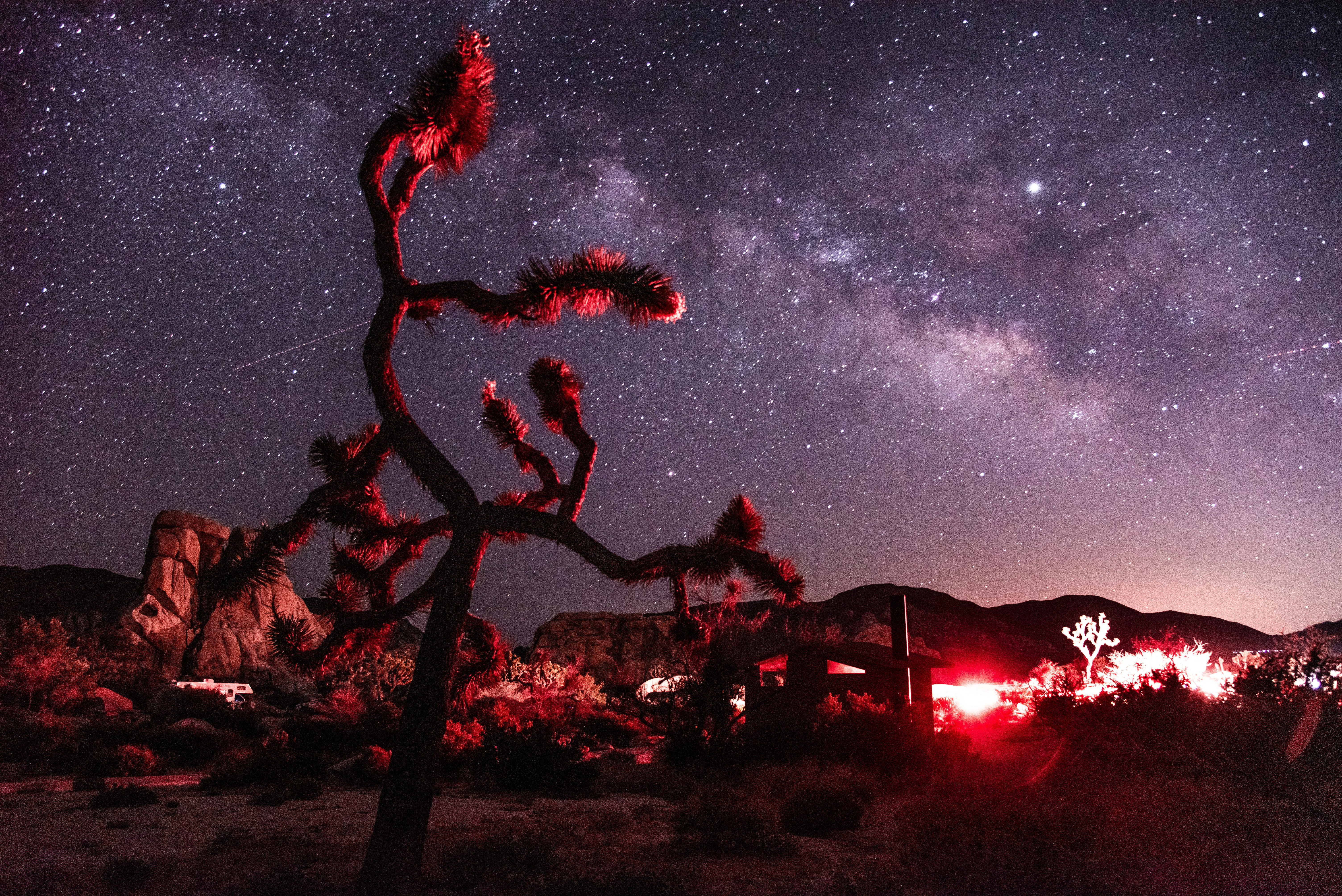 desert under purple sky