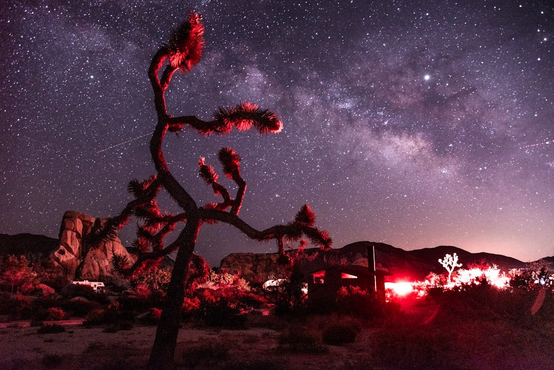 desert under purple sky