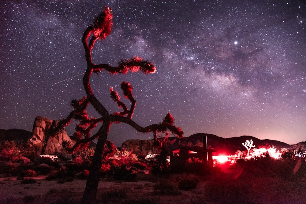 desert under purple sky