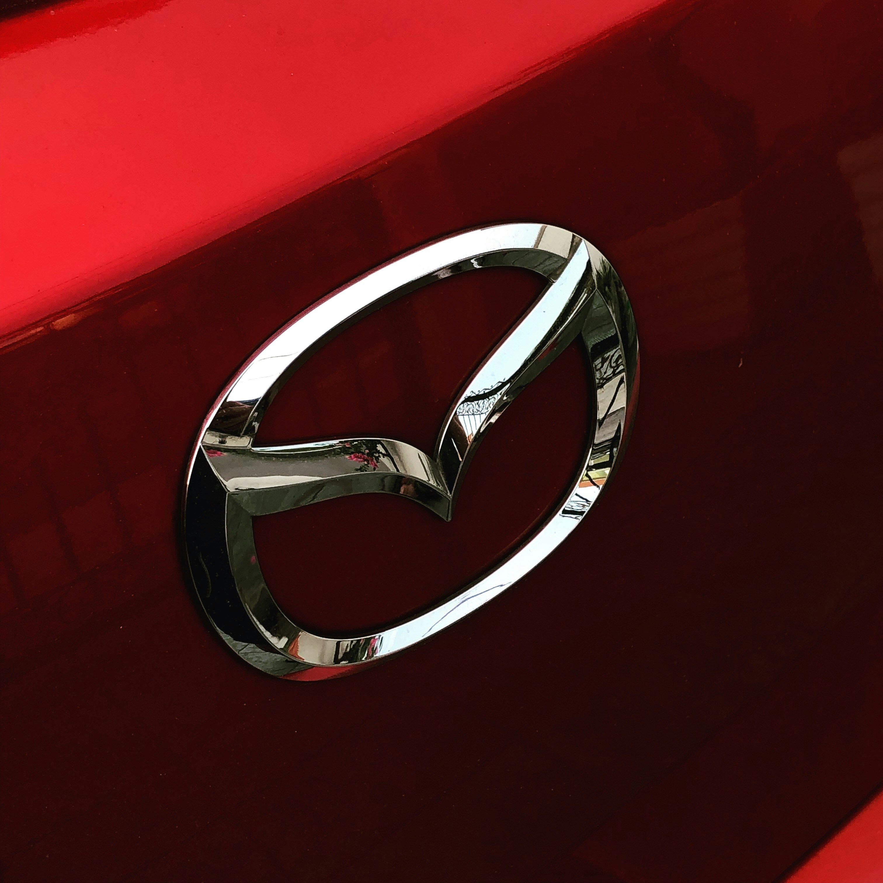 Photo by Jackie Chin