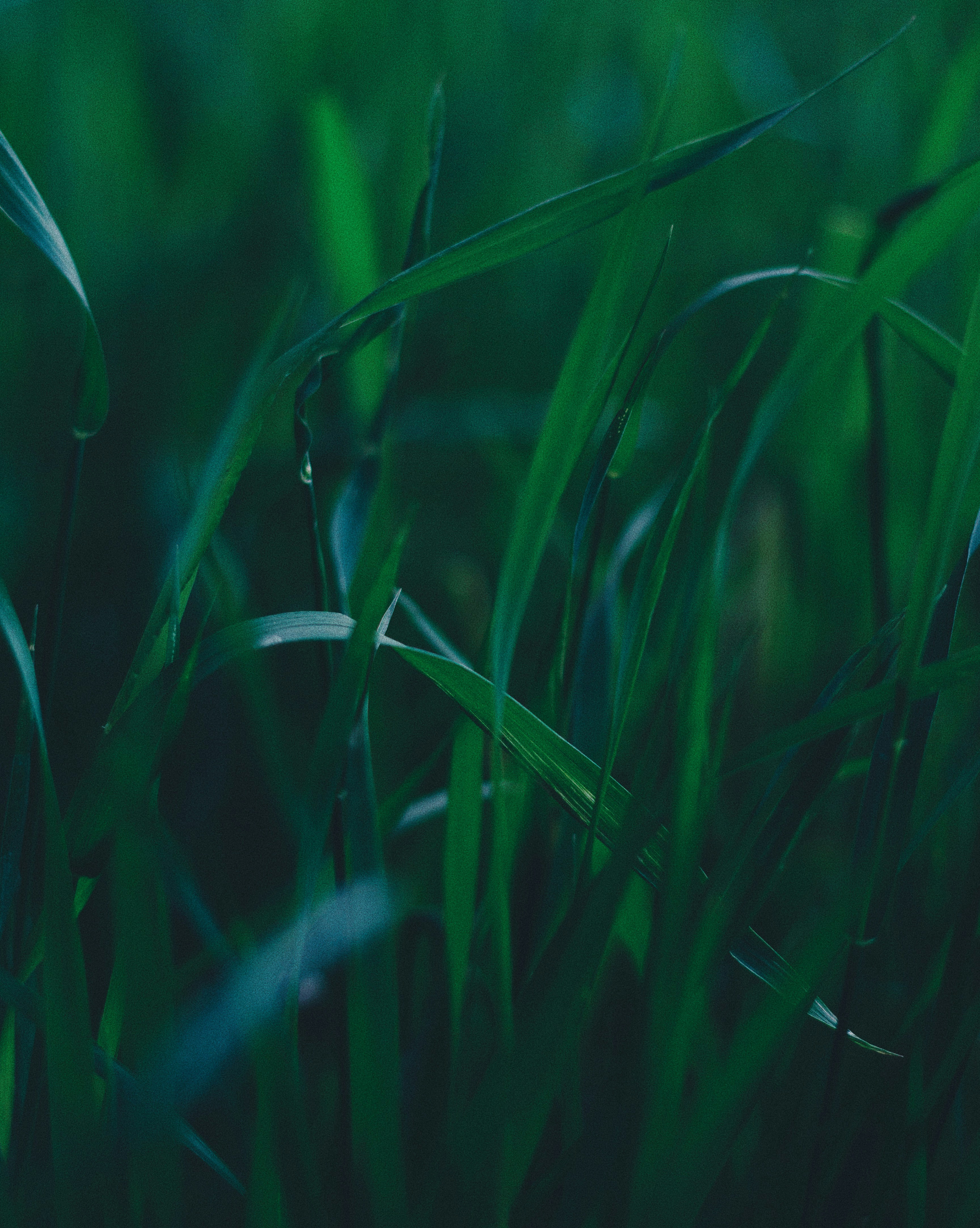 Photo by thewayofcolor