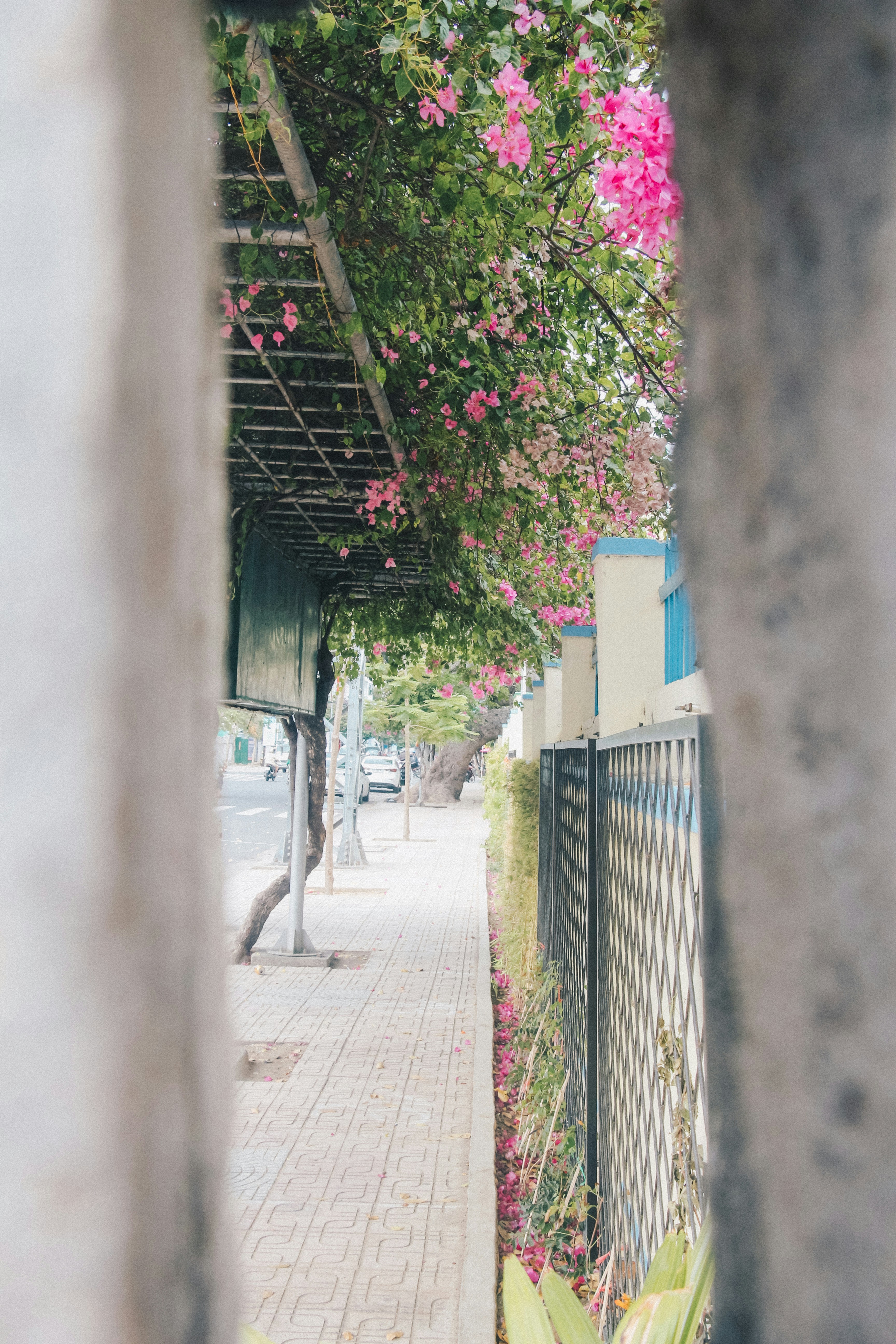 Photo by nguyenhoa91