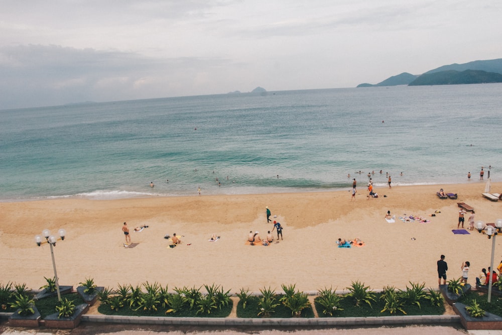 people at the beach during daytime