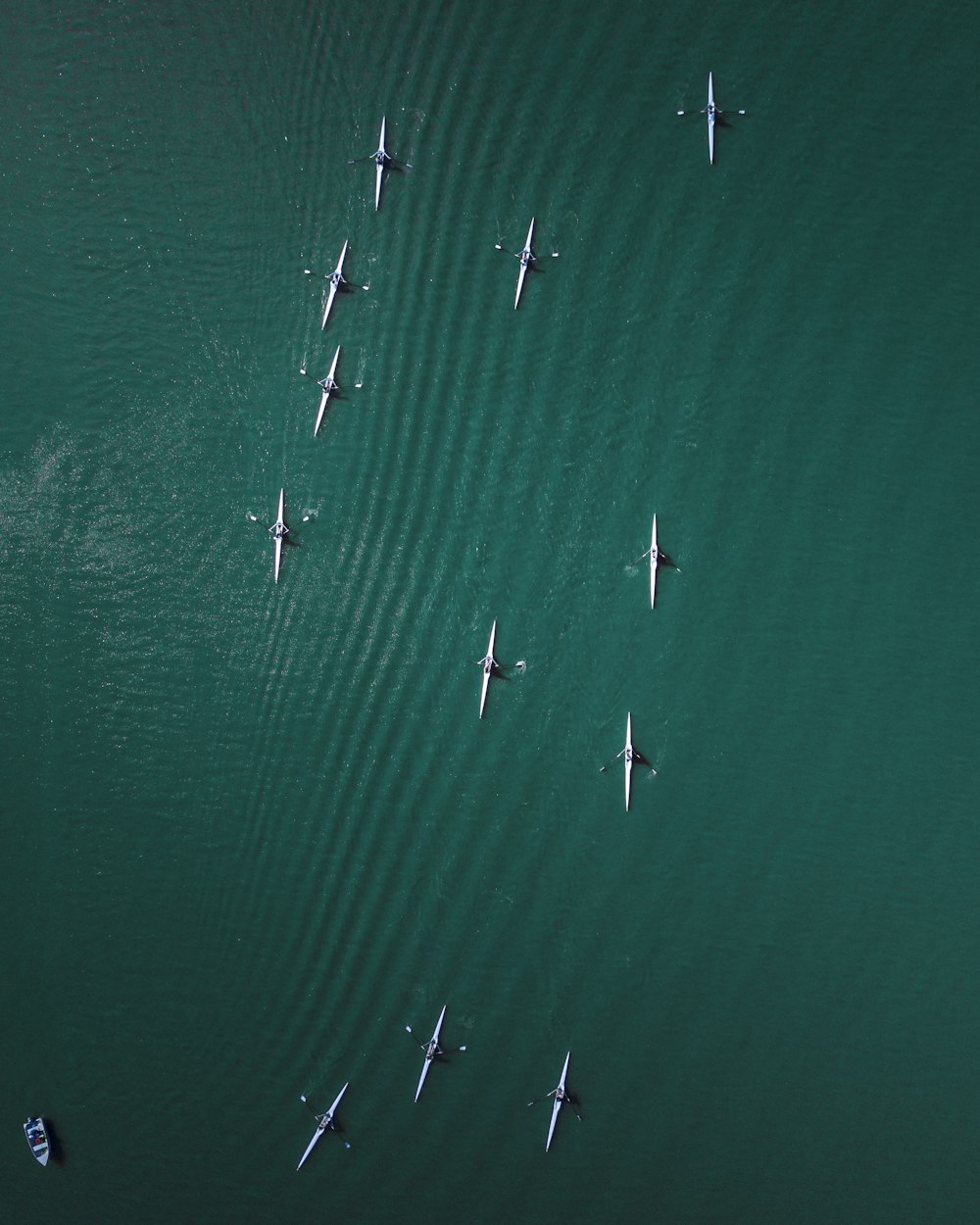 black and white boats sailing