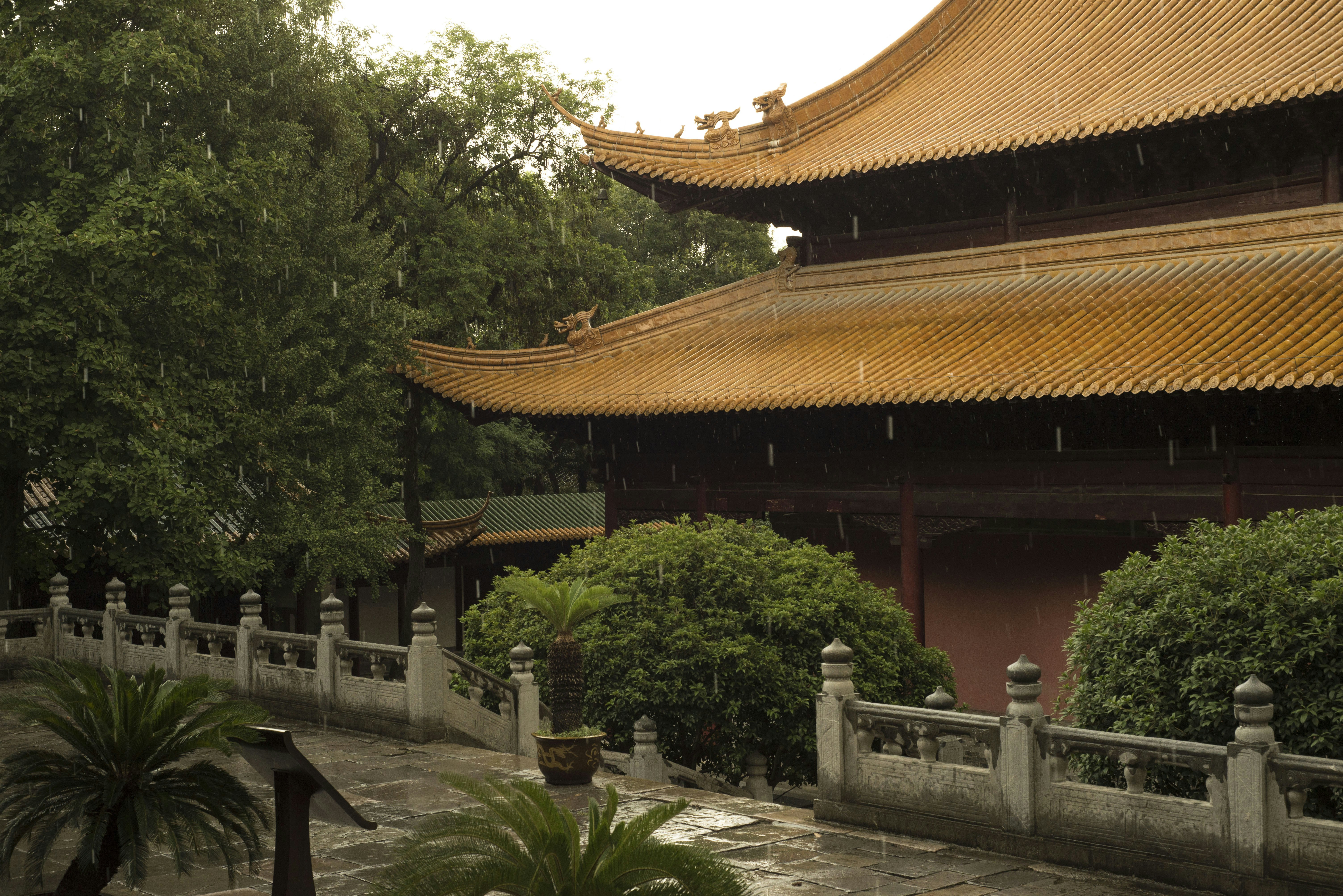 Photo by masterjkzhou