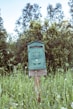 green mailbox on wooden post on grass