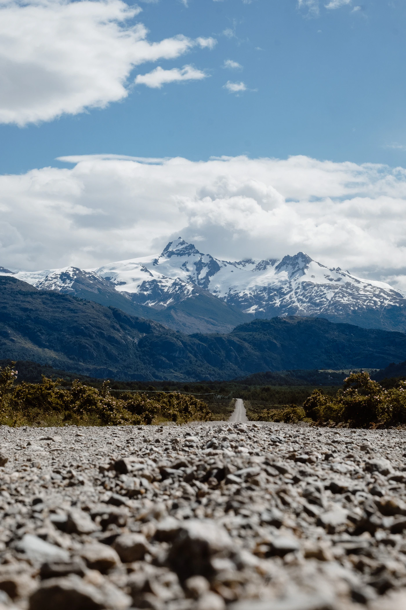 Couple in elopement attire at Torres del Paine during the autumn shoulder season with the lenga beech trees in gold and orange visible