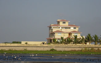 A large, three-story house with a beige exterior and red-tiled roofs stands surrounded by a row of palm trees. The house is located behind a low, cream-colored wall that borders a grassy area leading to a body of water. Numerous birds are flying and wading in the water, and the sky is clear with a light blue hue.